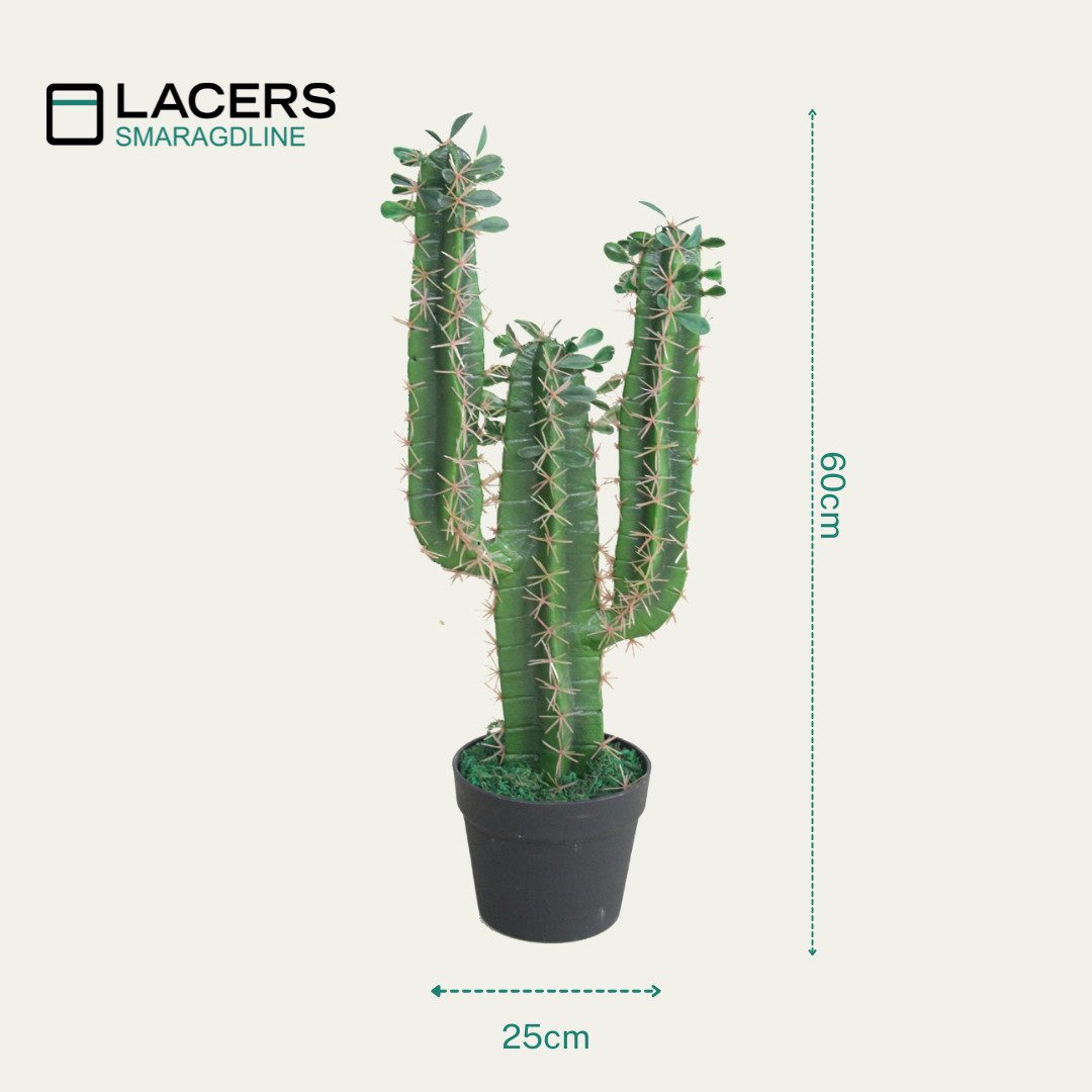Kunstkaktus SMARAGDLINE Künstliche Kakteen - Sukkulenten in verschiedenen G günstig online kaufen
