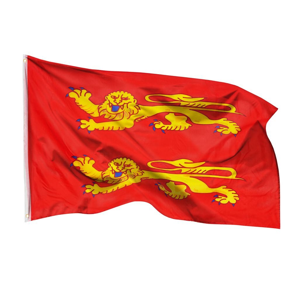 Flagge Basse Normandie Flagge 90 x 150 cm Fahne Frankreich Normandiefahne
