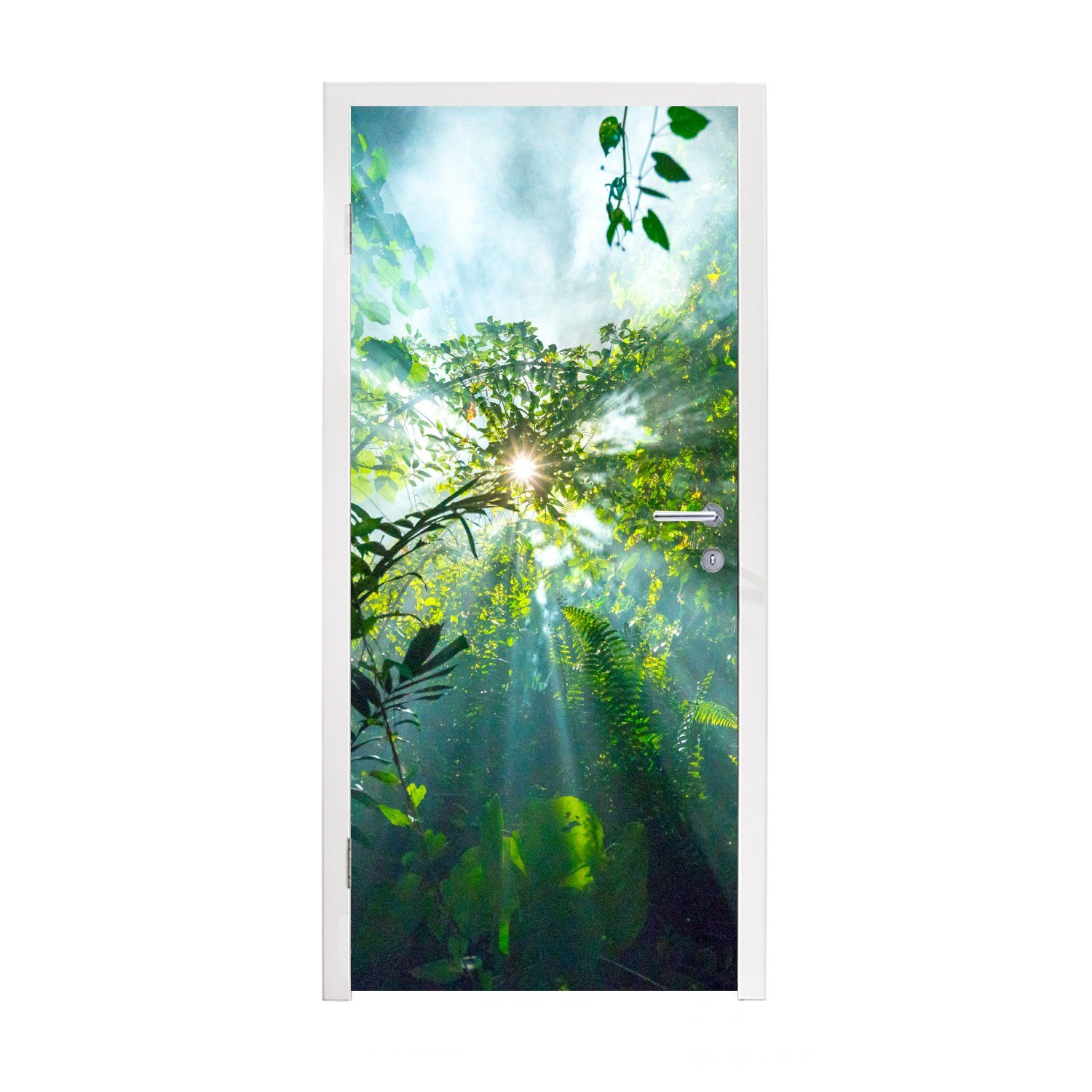MuchoWow Türtapete Sonnenlicht scheint auf eine Höhle im Regenwald von Malaysia, Matt, bedruckt, (1 St), Fototapete für Tür, Türaufkleber, 75x205 cm