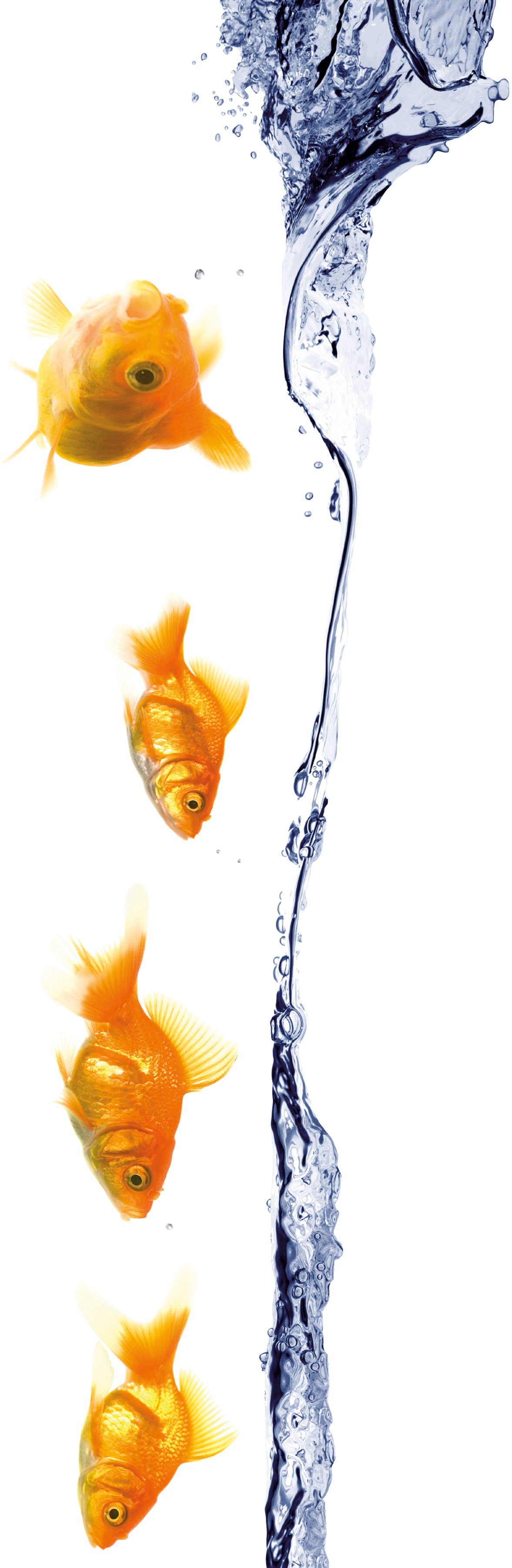 Fenstersticker Unterwater