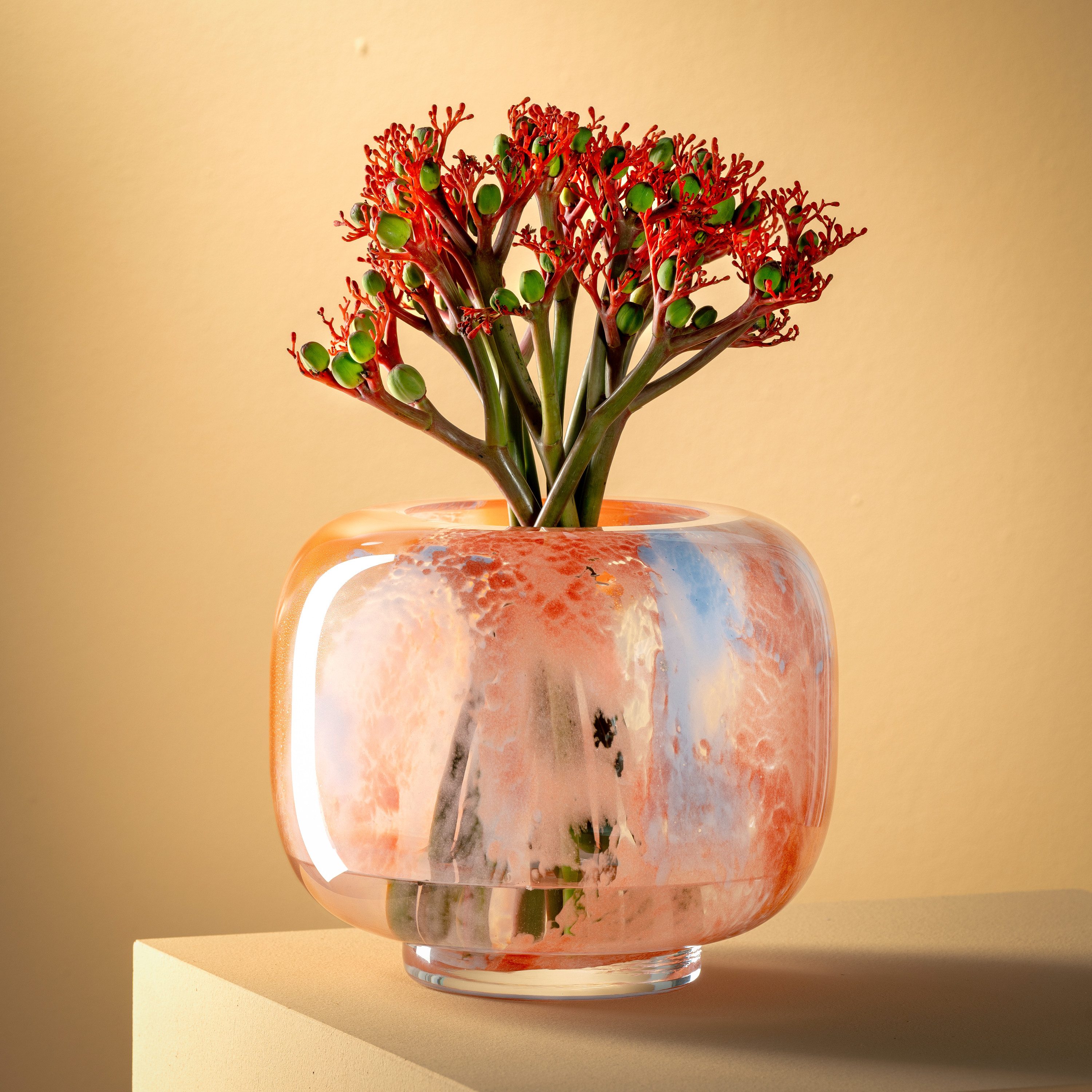 LEONARDO Dekovase Vase CIPRIA DUE (1 günstig online kaufen