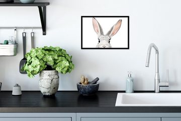MuchoWow Poster Kaninchen - Tiere - Natur - Weiß, (1 St), Gerahmtes Poster, Wanddeko, Bilder, Wandposter, Schwarzem Bilderrahmen
