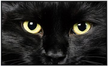 Papermoon Infrarotheizung Schwarze Katze als Bildheizung, im schwarzen Aluminiumrahmen, HZ(2670), TÜV-Rheinland/GS zertifiziert, angenehme Strahlungswärme