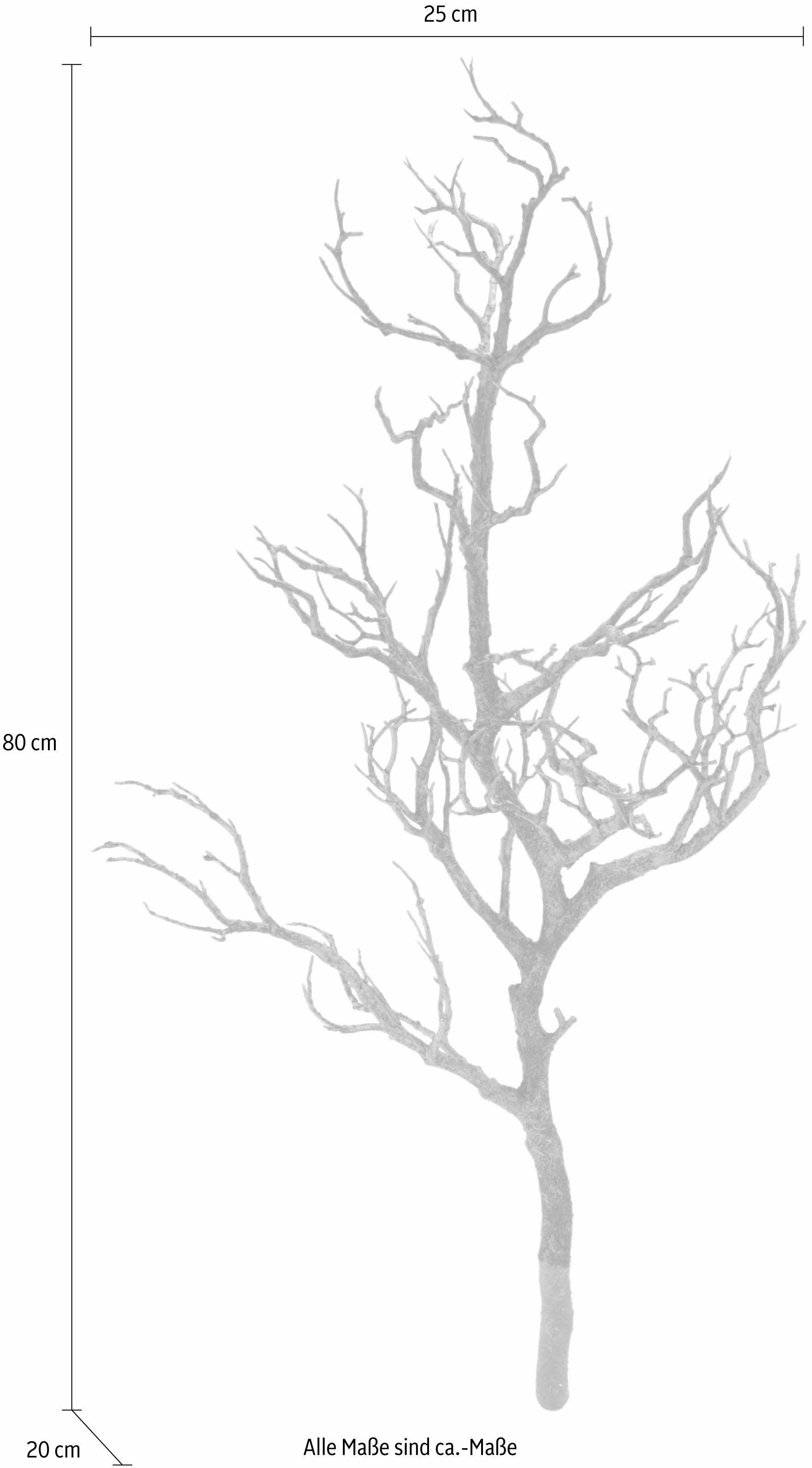 Kunstpflanze Deko-Ast, I.GE.A., Höhe 80 cm günstig online kaufen