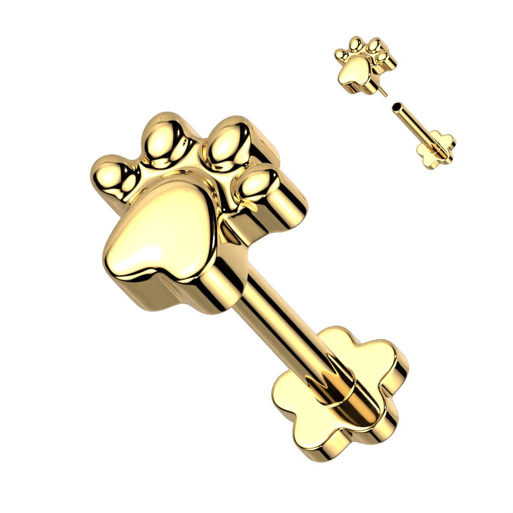 Taffstyle Piercing-Set Titan Tragus Knorpel Helix günstig online kaufen