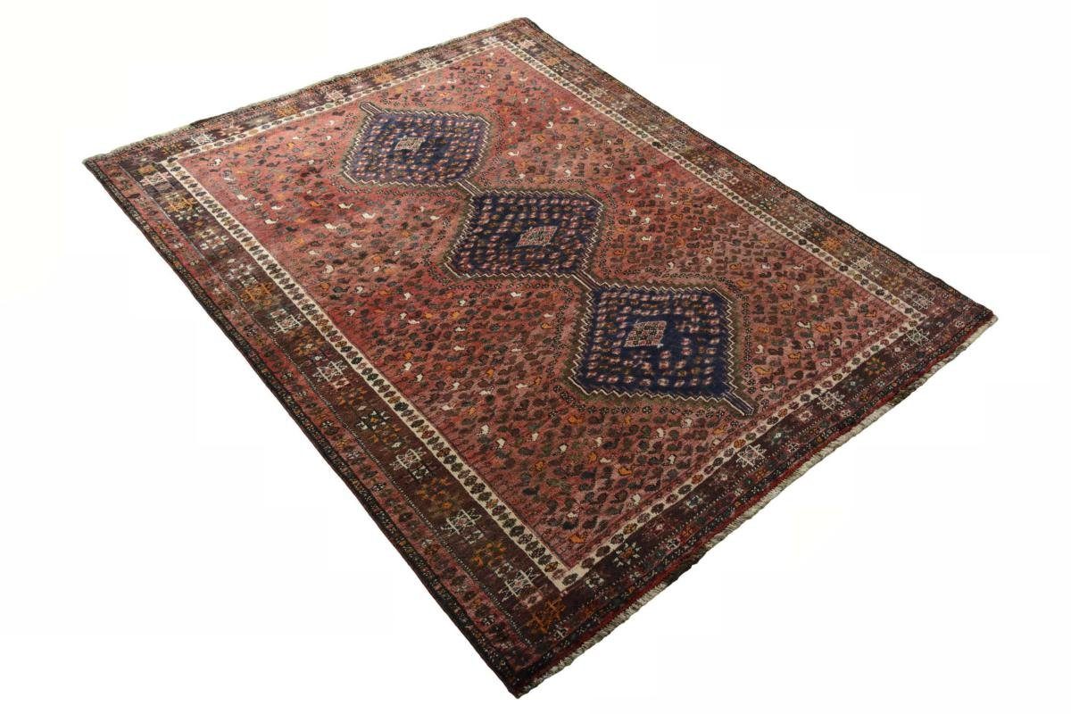 Trading, Nain mm 10 186x230 Handgeknüpfter Perserteppich, Orientteppich Shiraz rechteckig, / Höhe: Orientteppich