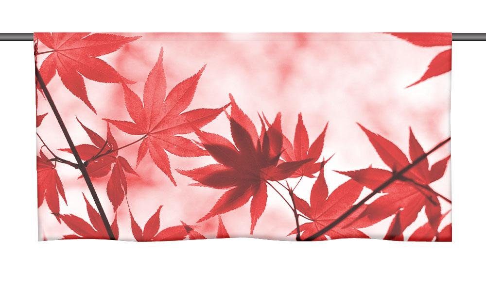 "Roter Transparent, gardinen-for-life Herbst" Scheibengardine Herbstmotiv tollem mit Cafehausgardine