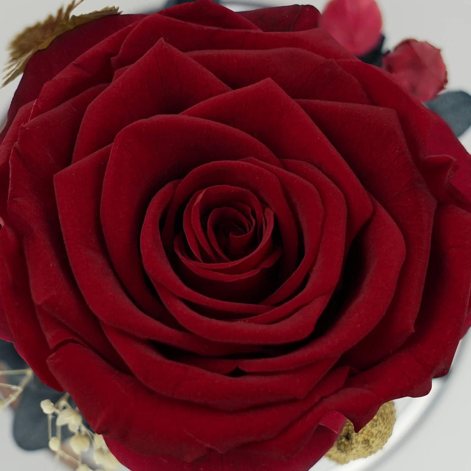 Trockenblume Engelfigur Ewige Rose Geschenk Mutter Muttertag Weihnachten Rotwein, LuxusKollektion