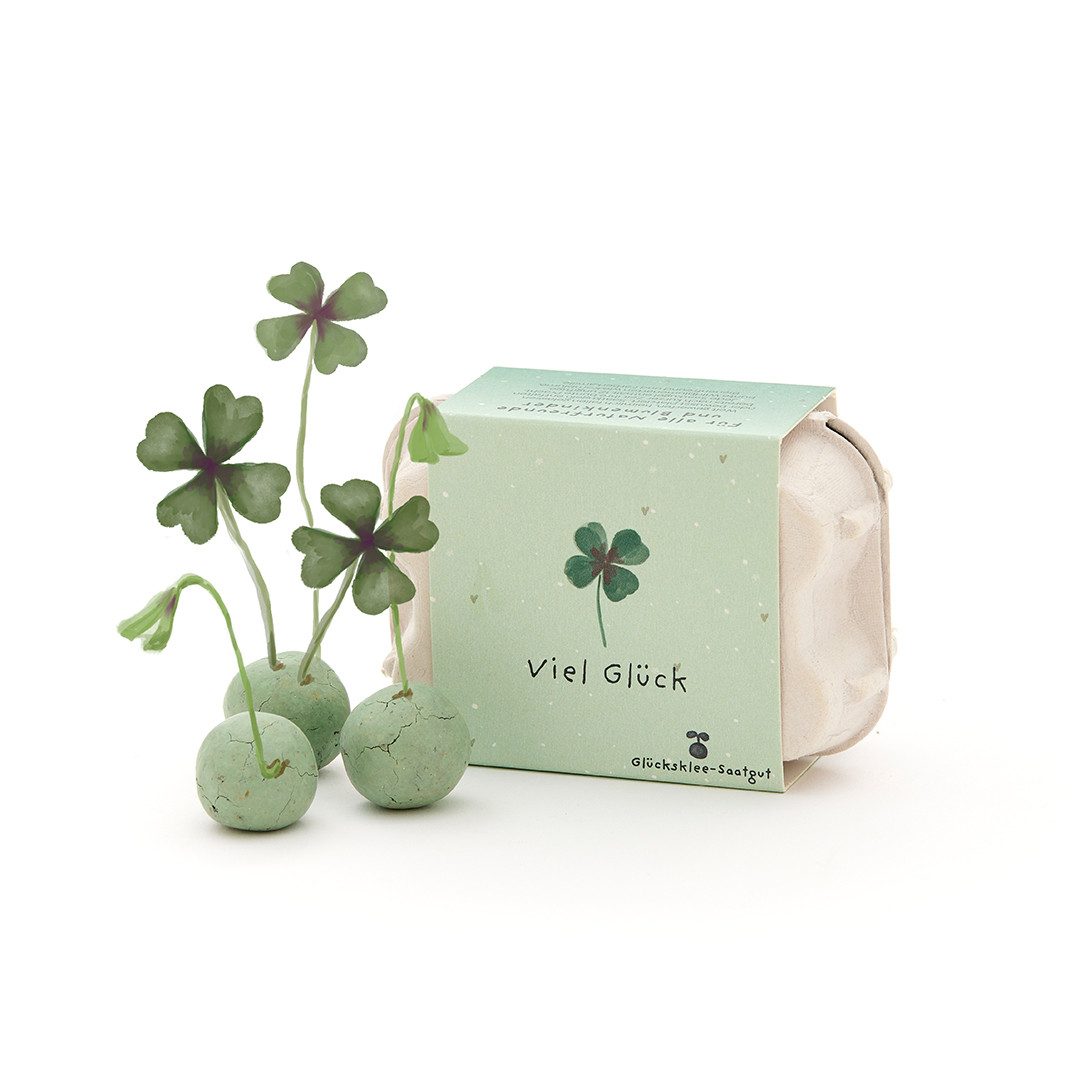 Blumensamen 6 Saatkugel mit Glücksklee-Saatgut im Mini-Eierkarton, Geschenkidee