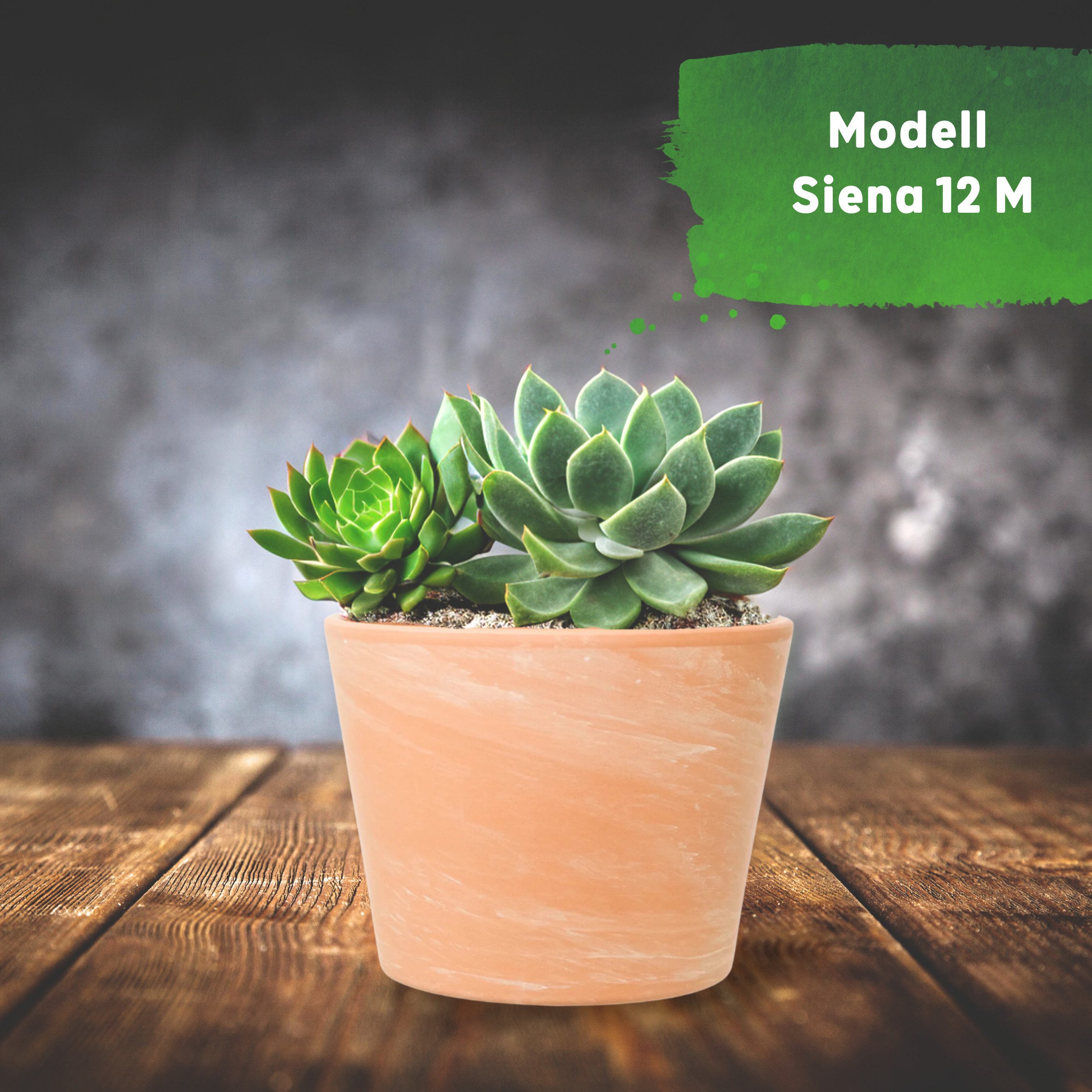 LENI Blumentopf Siena Terrakotta matt rund günstig online kaufen