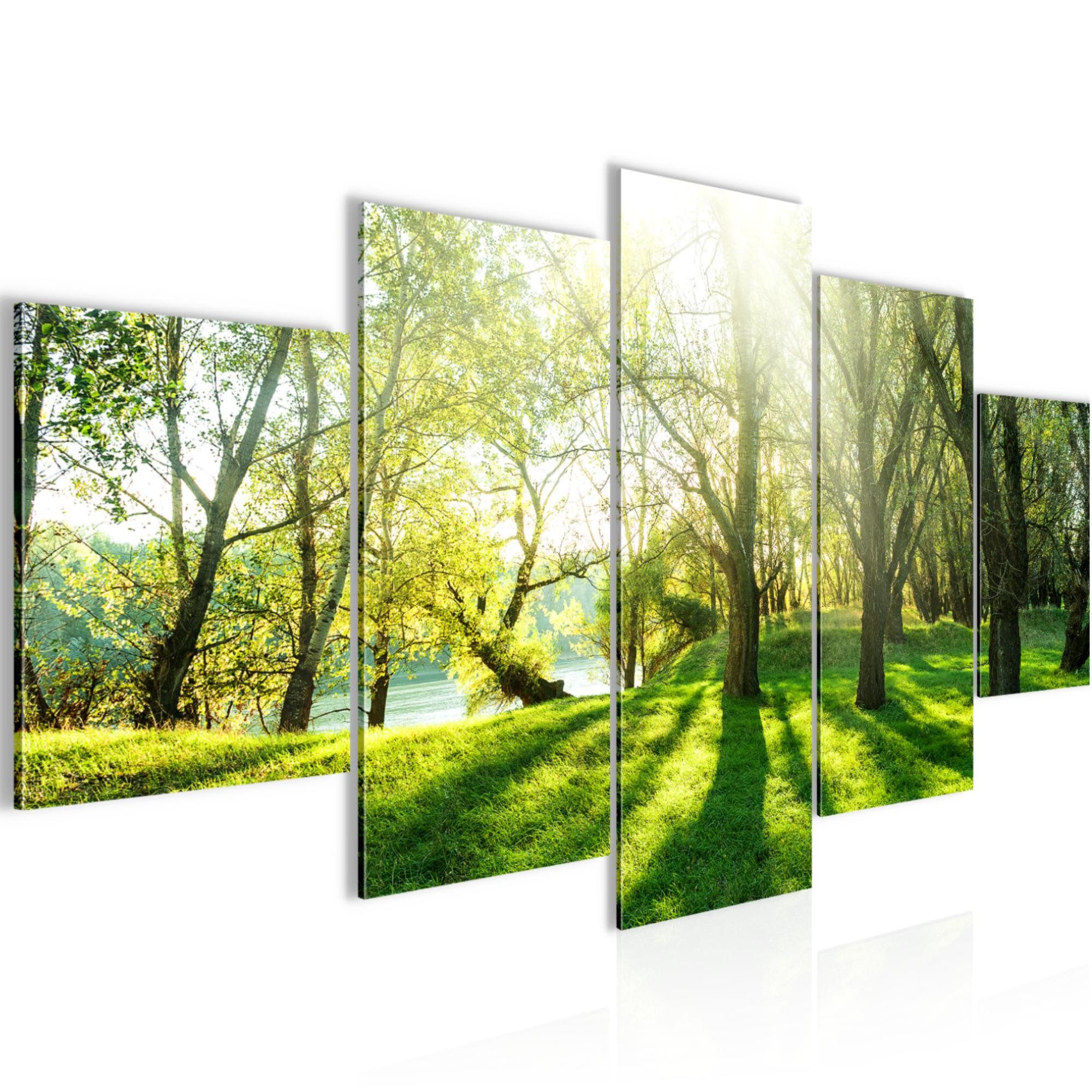 Runa Art Wandbild Wald Landschaft Bild auf Vlies Leinwand Deko Sonne Grün 608452a, 100L x 50B cm