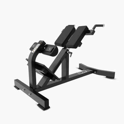SF SUPRFIT Rückentrainer Back Extension Bench