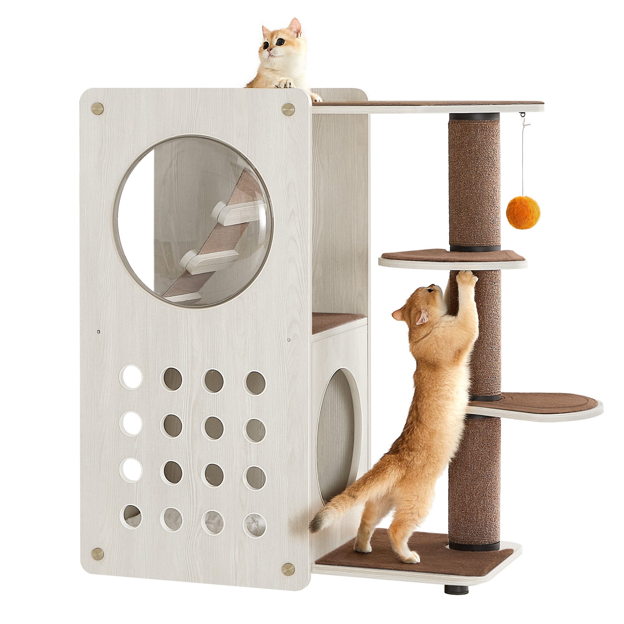 Katzen-Kletterwand