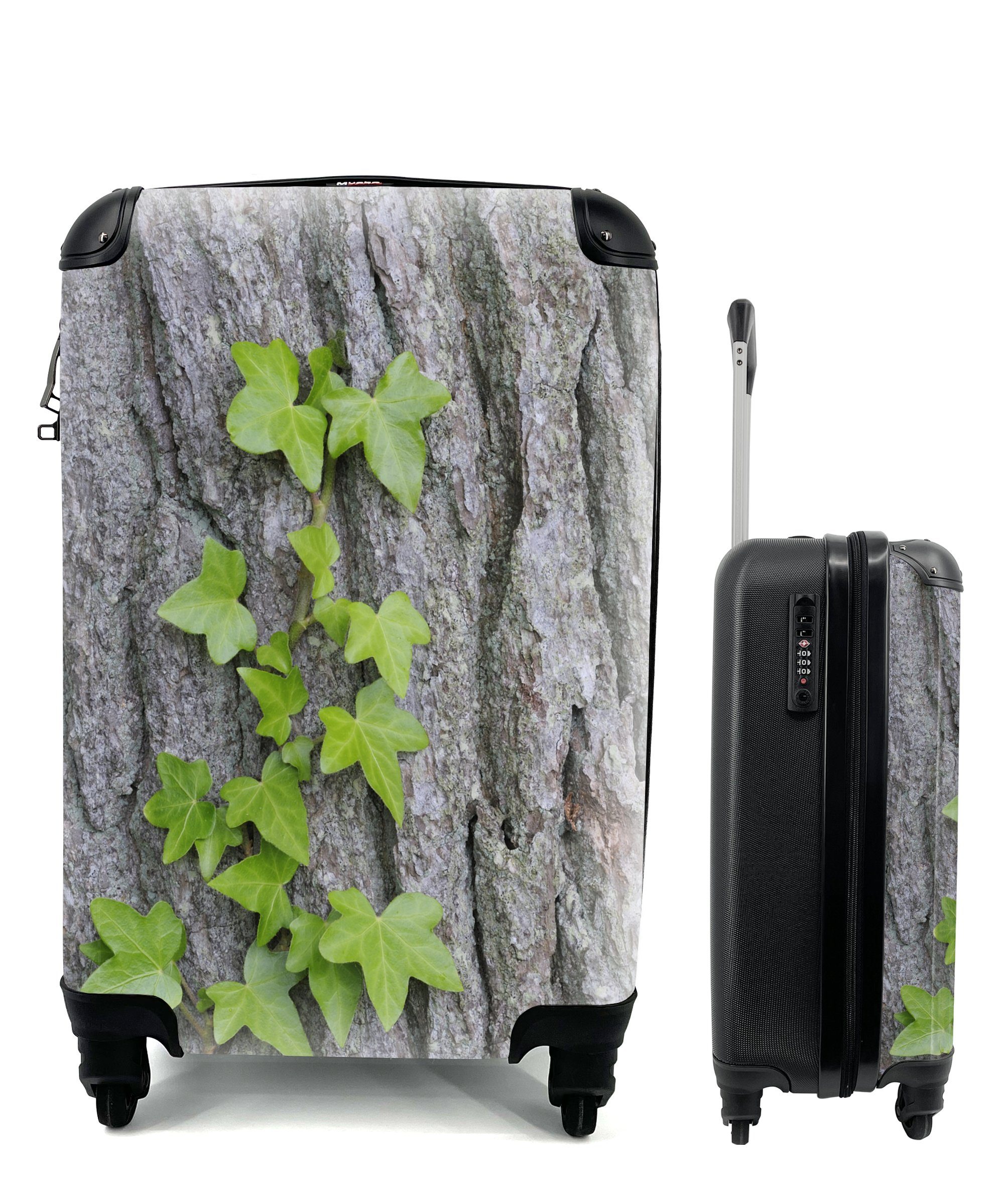 MuchoWow Handgepäckkoffer Ein kleiner Hedera-Efeu auf einem dicken Baum, 4 Rollen, Reisetasche mit rollen, Handgepäck für Ferien, Trolley, Reisekoffer