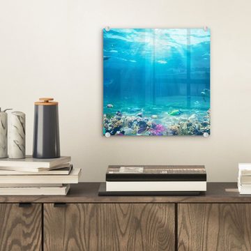 MuchoWow Acrylglasbild Unterwasserwelt - Meerestiere - Wasser - Korallen - Blau, (1 St), Glasbilder - Bilder auf Glas Wandbild - Foto auf Glas - Wanddekoration