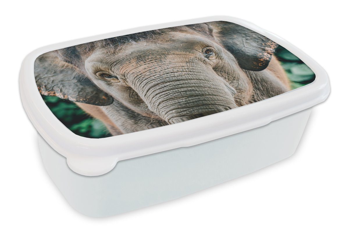 MuchoWow Lunchbox Nahaufnahme eines Elefanten, Kunststoff, (2-tlg), Brotbox für Kinder und Erwachsene, Brotdose, für Jungs und Mädchen weiß