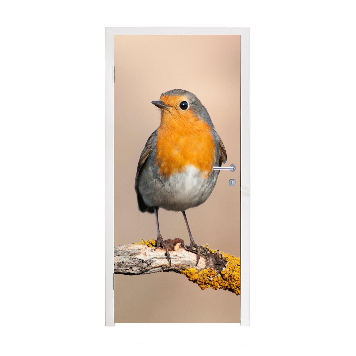 MuchoWow Türtapete Rotkehlchen - Vogel - Zweig - Tiere, Matt, bedruckt, (1 St), Fototapete für Tür, Türaufkleber, 75x205 cm