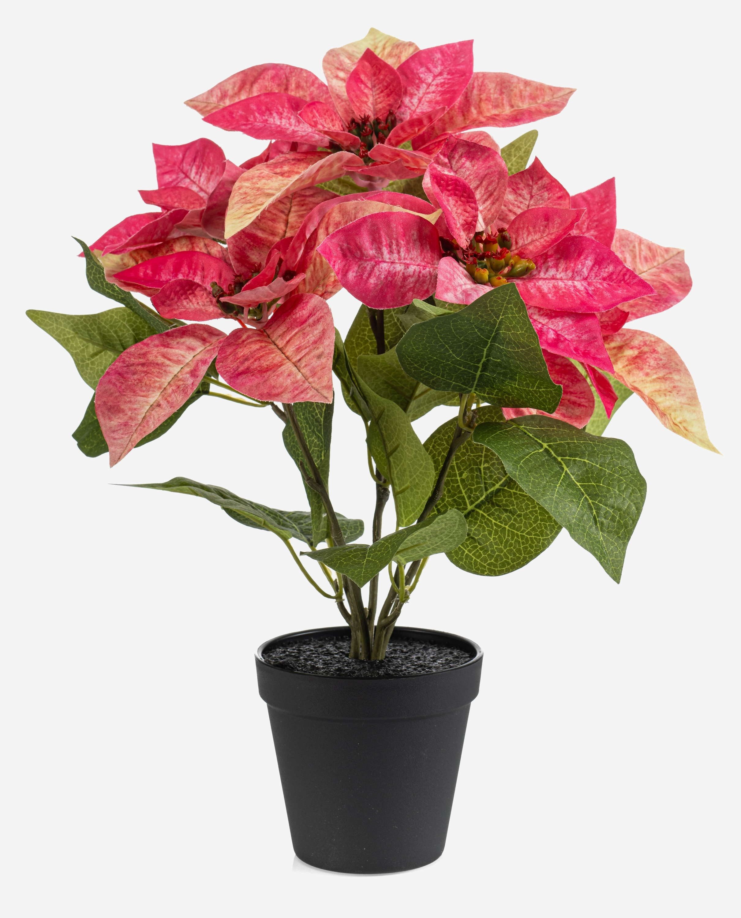 Kunstblume Weihnachtsstern GRULEN im Dekotopf