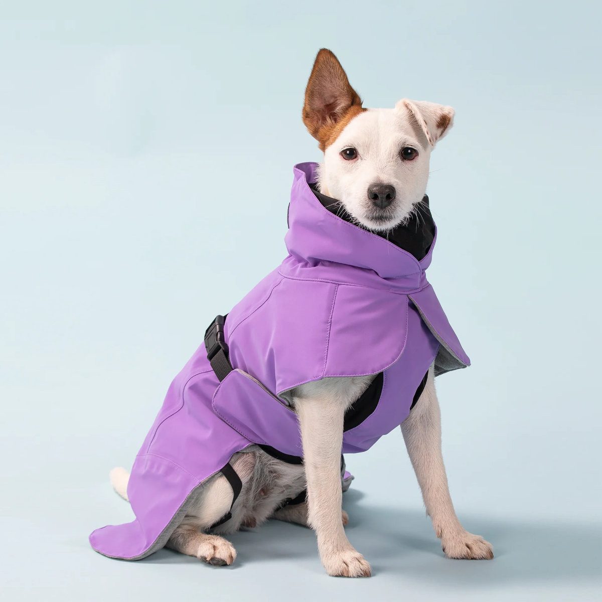 PAIKKA Hundemantel Hunde Winter-Jacke reflektierend "Visibility" lila