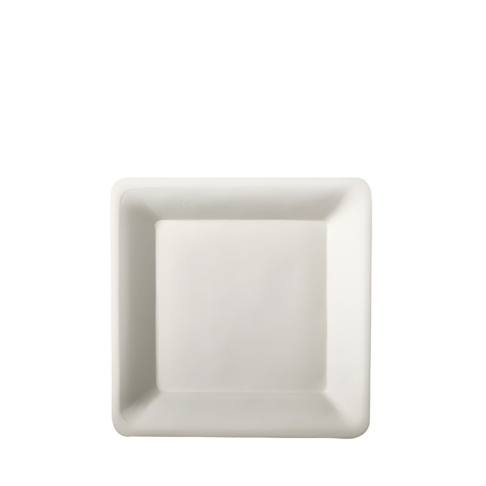 PAPSTAR Einwegteller Teller, Zuckerrohr pure eckig 15,5 cm x 15,5 cm weiss 50 Stk