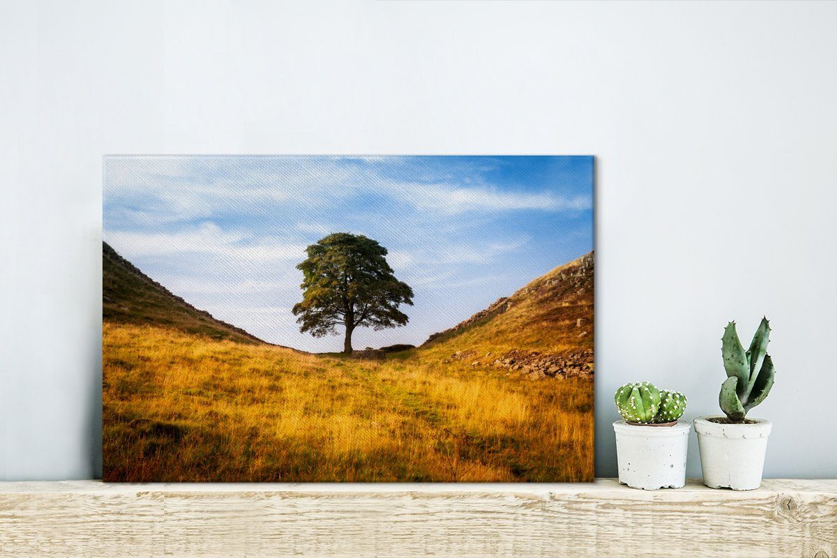 Wanddeko, Wandbild Tree St), (1 OneMillionCanvasses® cm Platane Aufhängefertig, Hadrianswall, Leinwandbilder, am 30x20 Leinwandbild Gap