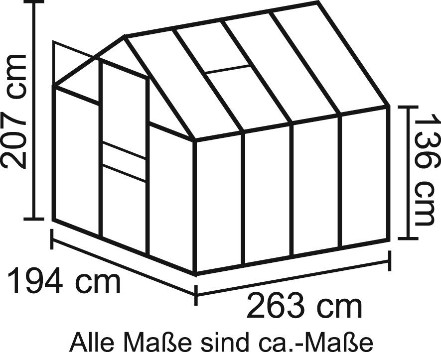 Vitavia Gewächshaus Apollo 5000, BxTxH: 194 x 263 x 207 cm, 4 mm Wandstärke, Set, mit. Fundamentrahmen
