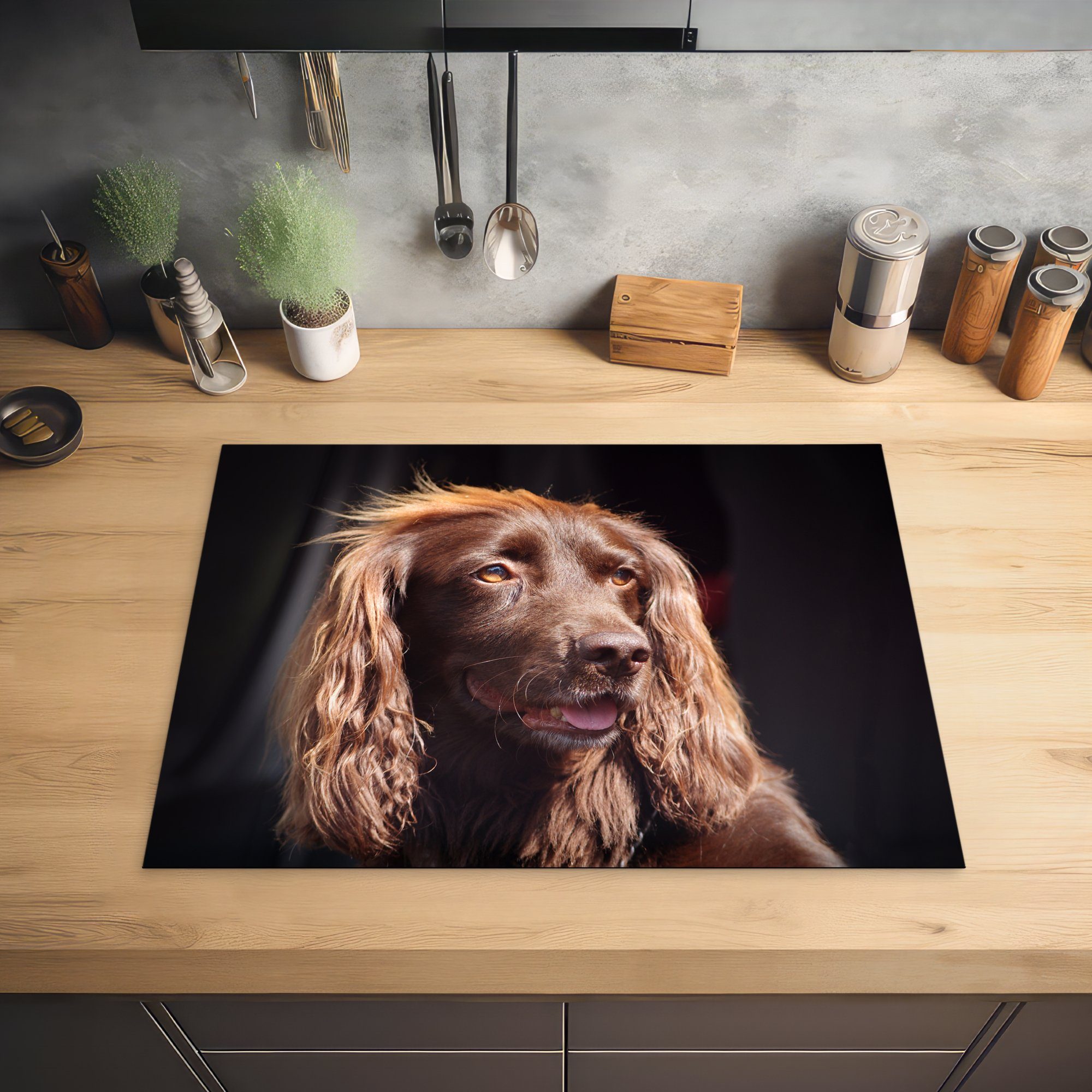 Vinyl, Arbeitsfläche Cockerspaniel, Herdblende-/Abdeckplatte (1 englischer MuchoWow beleuchteter 70x52 nutzbar, cm, Ceranfeldabdeckung von der Sonne Ein tlg), Mobile