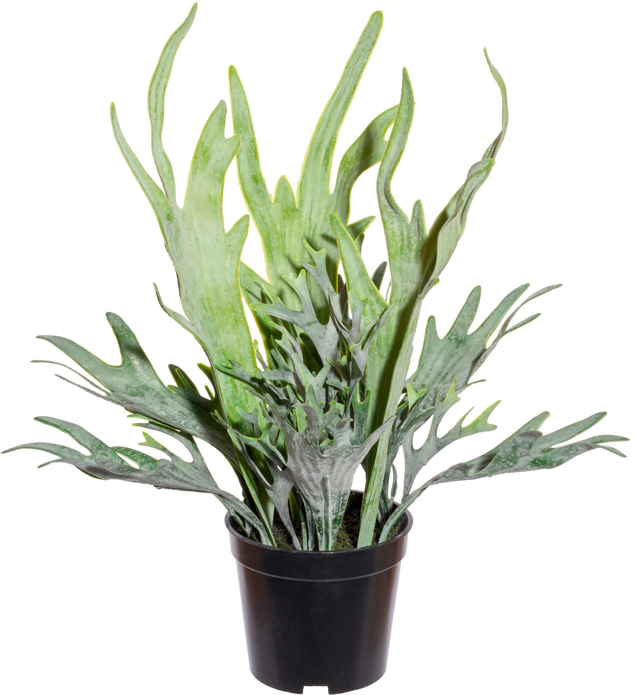 Kunstranke Geweihfarn Farn, Creativ green, Höhe 40 cm, künstliche Ranke