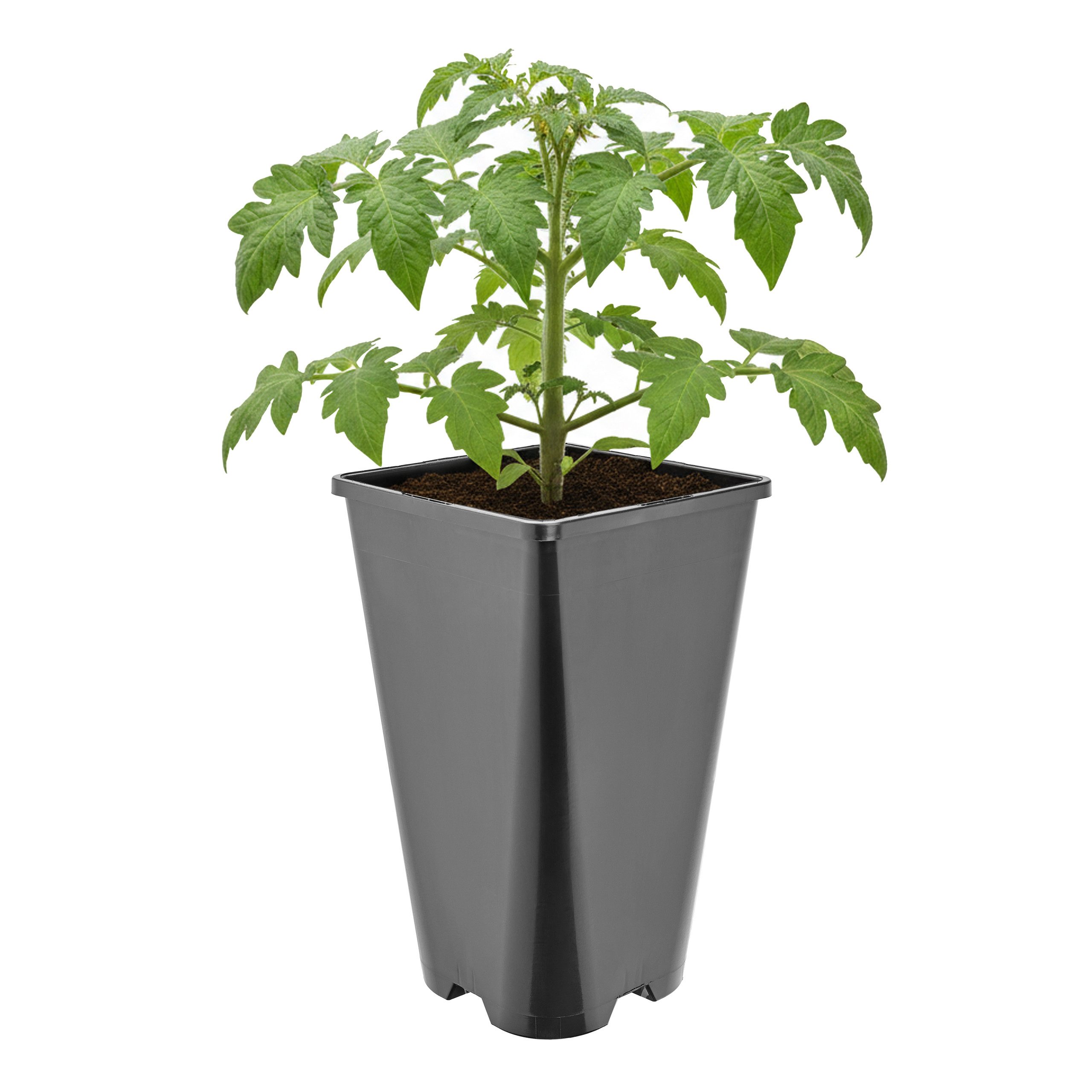Garronda Blumentopf Kunststoff hoch eckig mit Drainagelöchern für Garten GD-0201 (1 St)