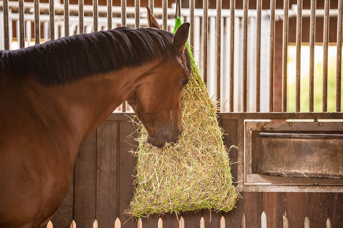 Equinate Heunetz Heunetz Hayville 150 x 80cm engmaschig