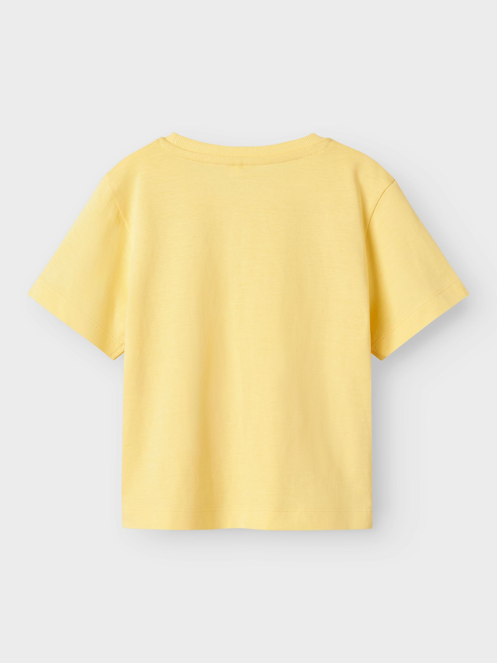 Name It T-Shirt NMFJASSA S/S NREG TOP PB