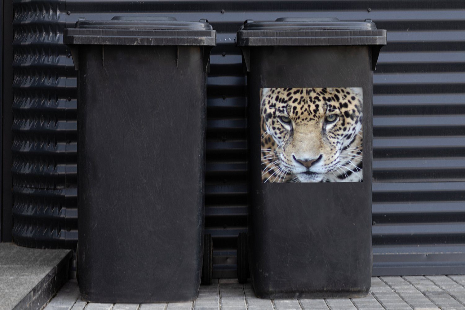 - Container, MuchoWow Sticker, Wandsticker Augen (1 - St), Jaguar Raubtier Mülltonne, Abfalbehälter Mülleimer-aufkleber,