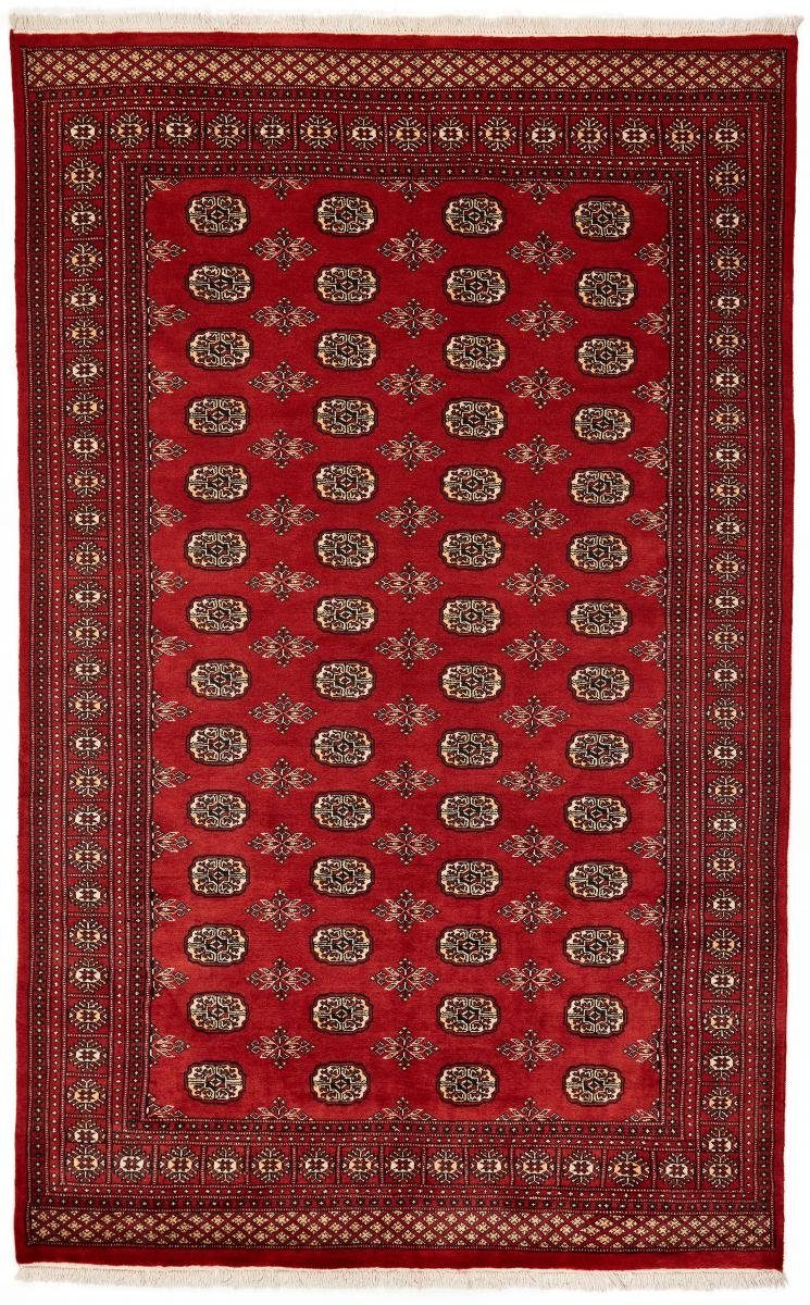 Orientteppich Pakistan Buchara 2ply 179x287 Handgeknüpfter Orientteppich, Nain Trading, rechteckig, Höhe: 8 mm