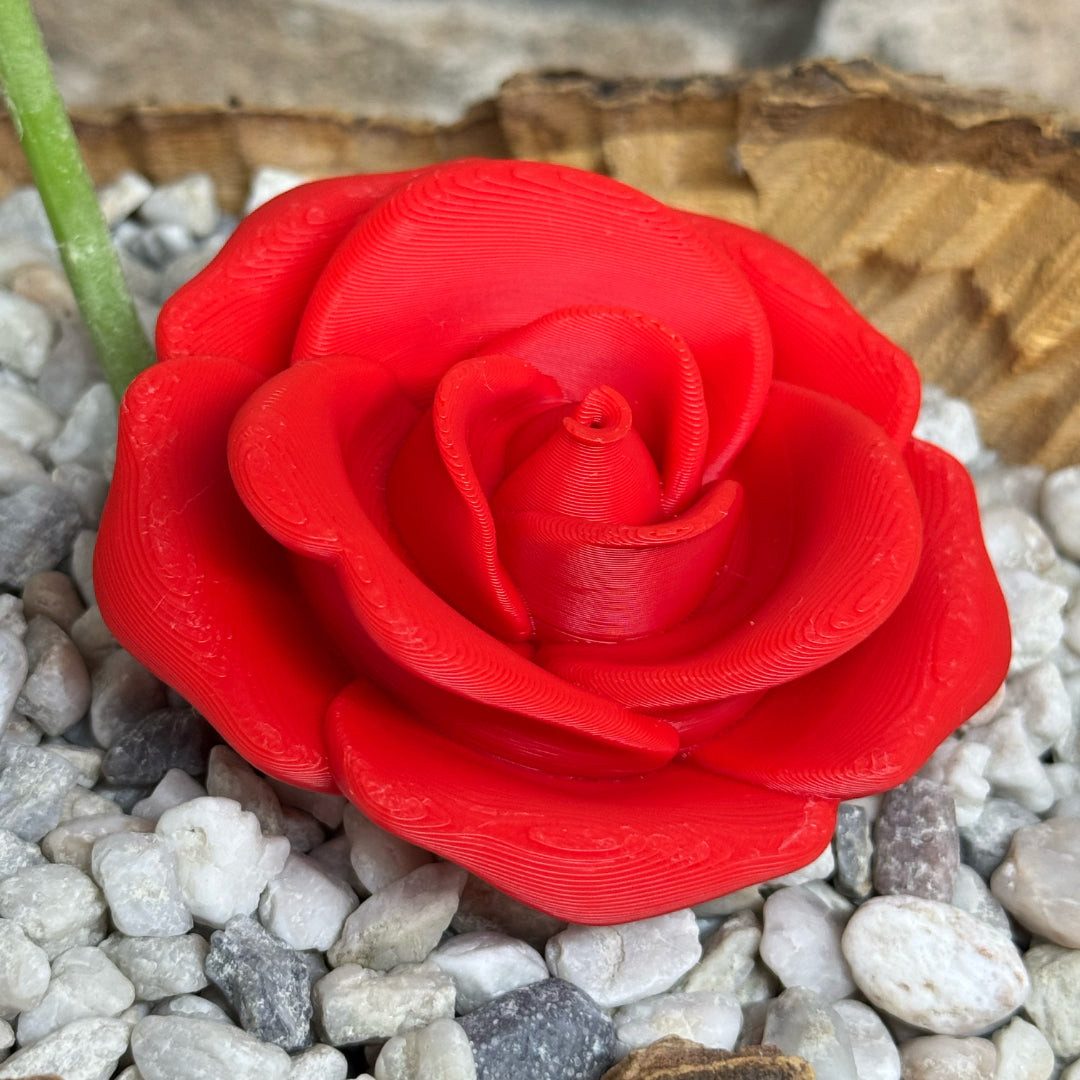 UDINGO Dekofigur 3D-gedruckte Rose – Eine zeitlose Blüte, die nie verblüht