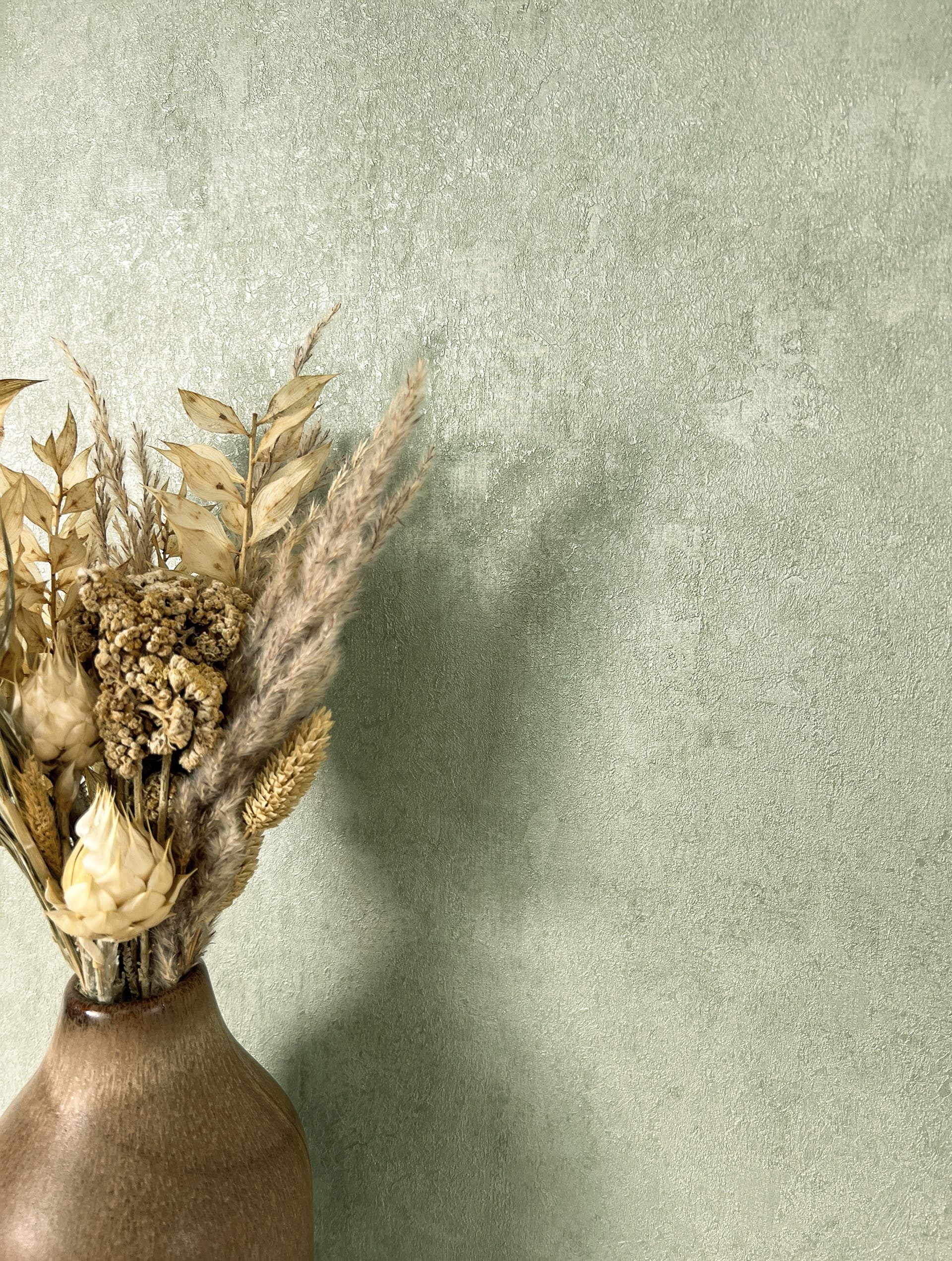 Newroom Vliestapete, Grün Tapete Modern Unifarbe - Universal Einfarbig Salb günstig online kaufen