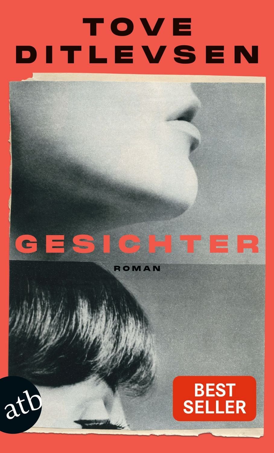 Gesichter / Tove Ditlevsen, Roman