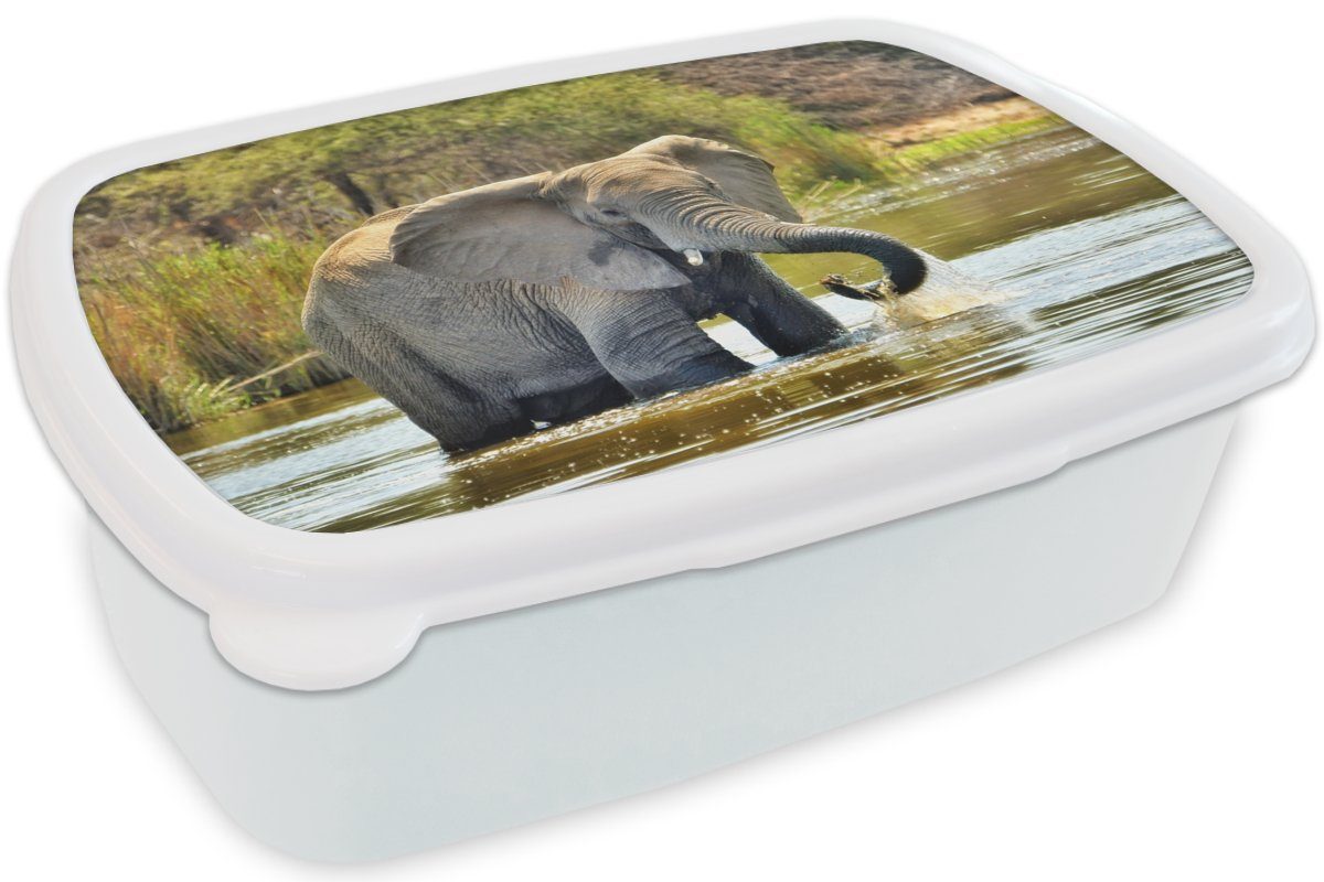 Erwachsene, Jungs Tiere Kinder - für Mädchen Wasser weiß Brotdose, Lunchbox Brotbox Kunststoff, (2-tlg), - Elefant und - und für Natur, MuchoWow