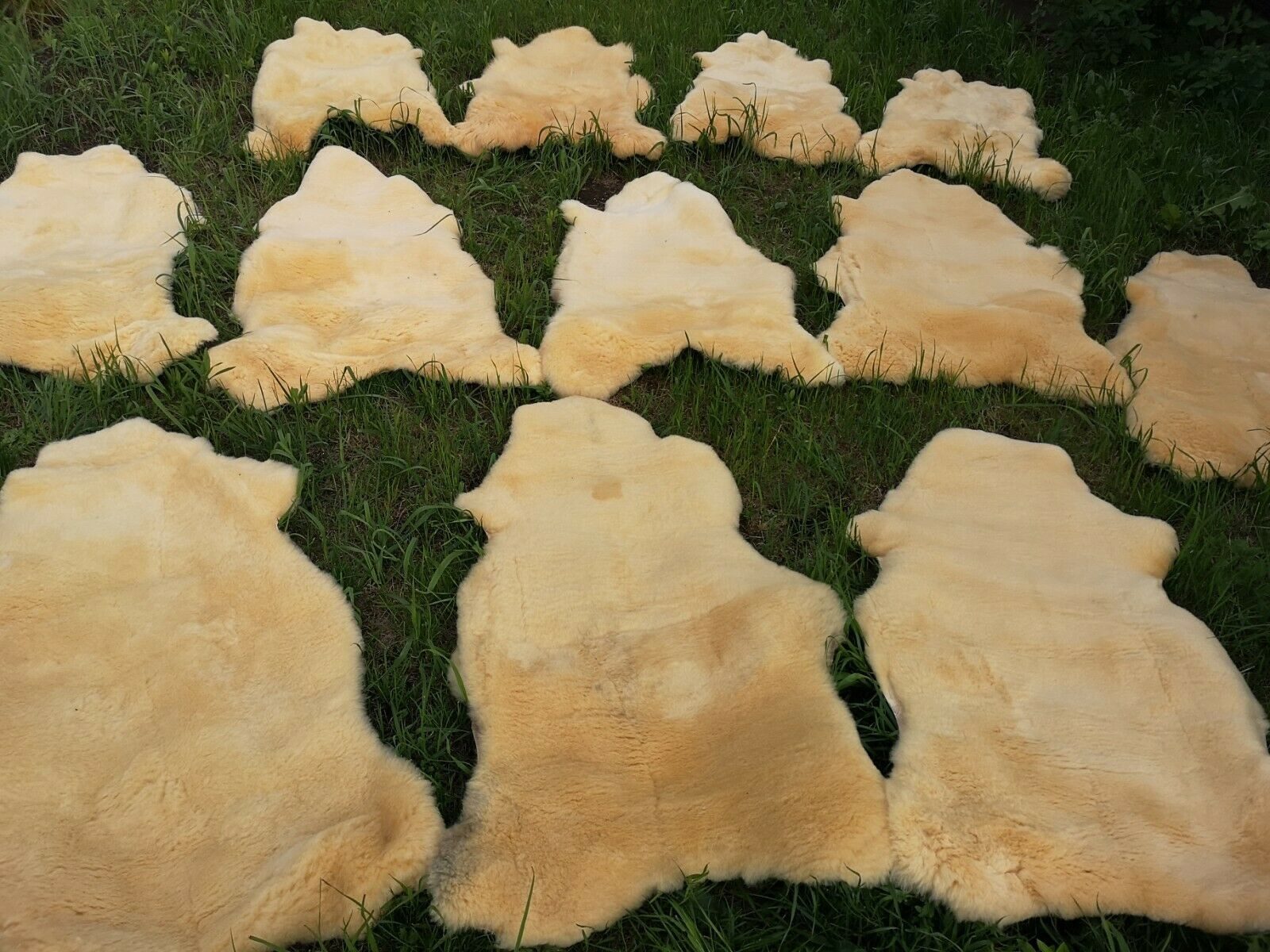 Provellus Fellteppich Med. Schaffell Baby Lammfell Relugan Weich Bis 140cm, günstig online kaufen