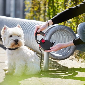 Dogxi Hundeleine Griff aufklappbar für bequemes Befestigen Gurtzunge für Sicherung Auto, Griff lässt sich durch Druckknopf öffnen
