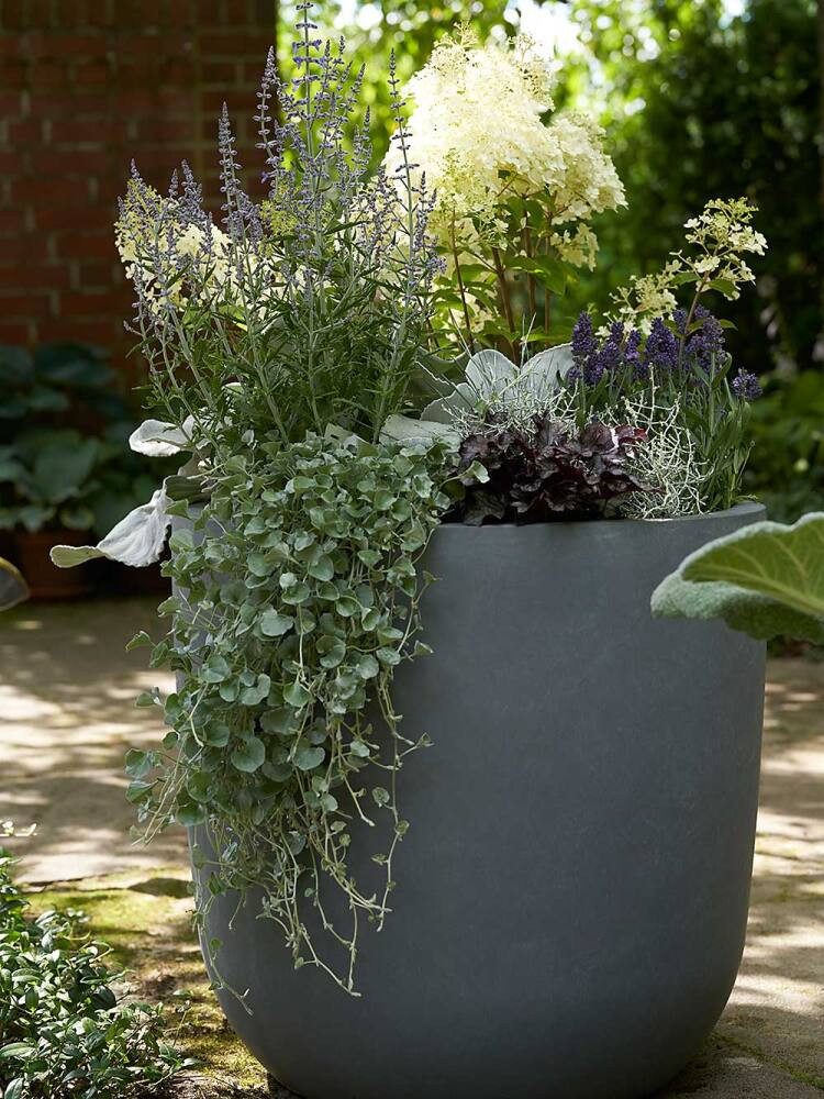 Pflanzwerk® Pflanzkübel CUP Premium Fiberglas Blumenkübel Frostbeständig mit Lotus-Effekt, Lotus-Effekt - Handgefertigt - Rund - Frostbeständig
