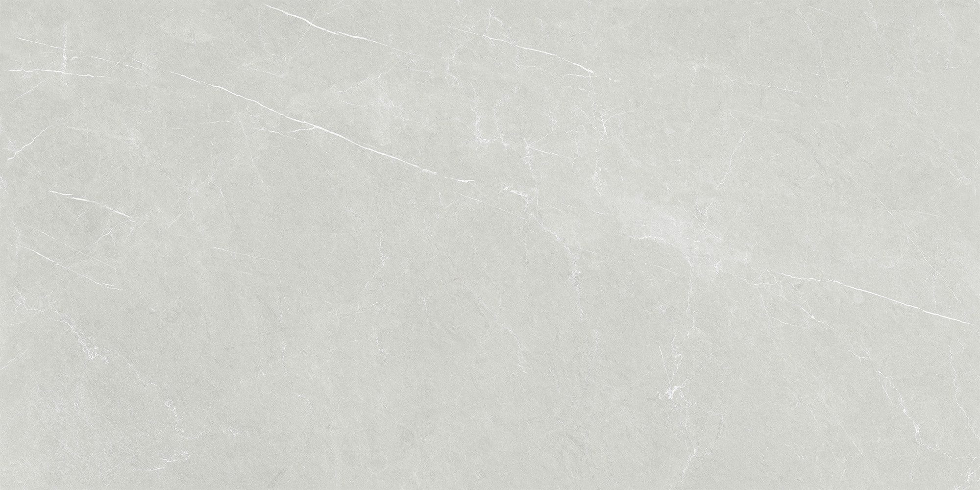 Bodenfliese 1 Paket (1,44 m) Плитка FORLI LIGHT GREY (60 × 120 cm), matt, grau, Küche Wand Bad Flur Bodenbelag Duschwand Steinoptik