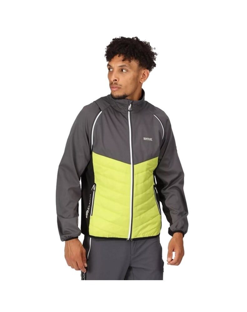 Regatta Softshelljacke und Weste Steren (winddicht, wasserabweisend) grau/l günstig online kaufen