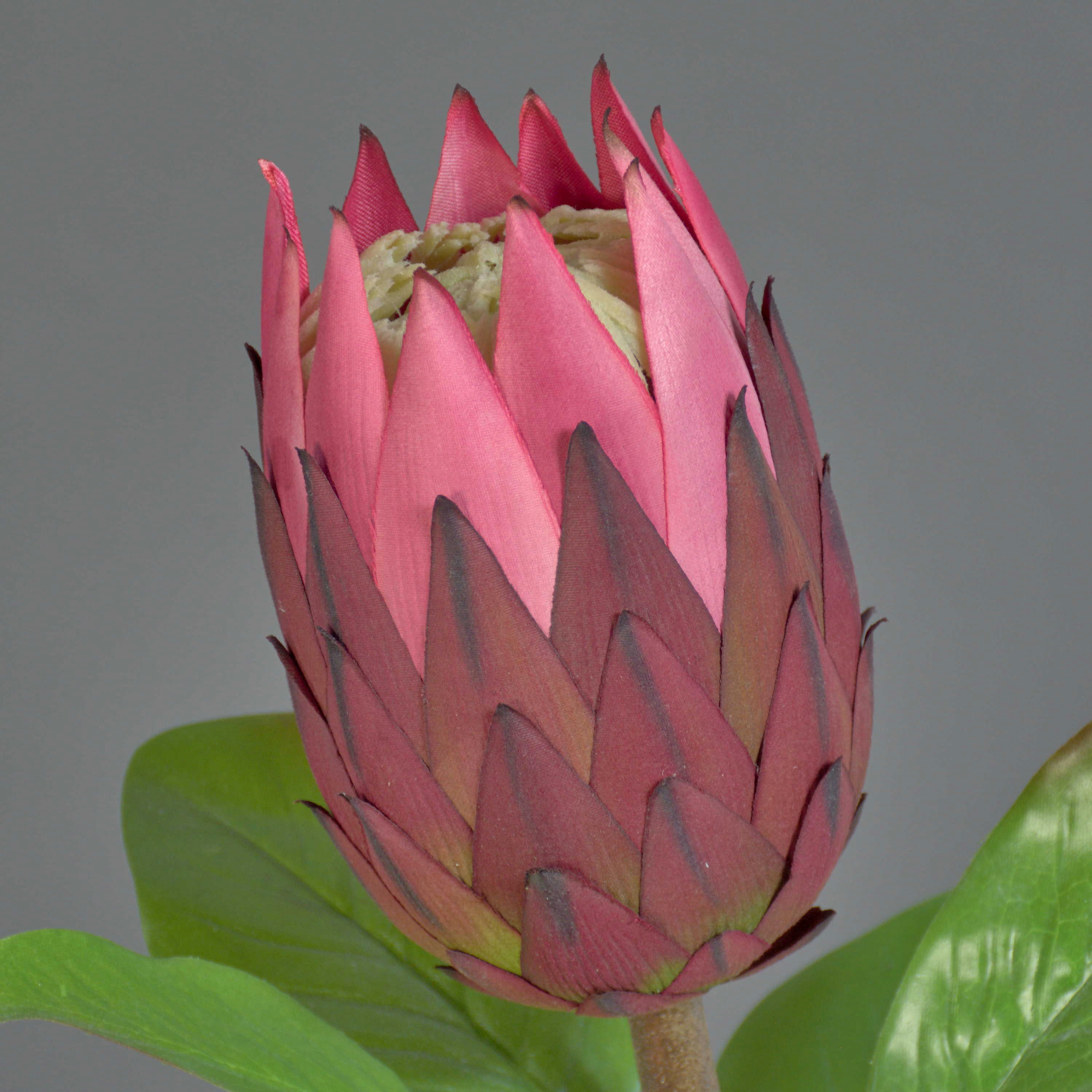 Kunstblume Dekoblume Protea AZHEN, violett, 65 cm Protea (Nadelkissen Protea), artplants, Höhe 65.0 cm