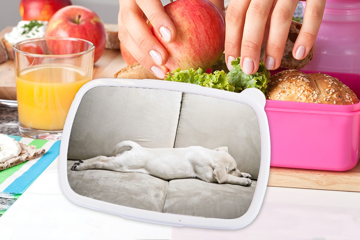 Labrador-Welpe Sofa, rosa Lunchbox Snackbox, für auf Erwachsene, Kunststoff Kunststoff, Kinder, Mädchen, Brotbox Brotdose (2-tlg), MuchoWow