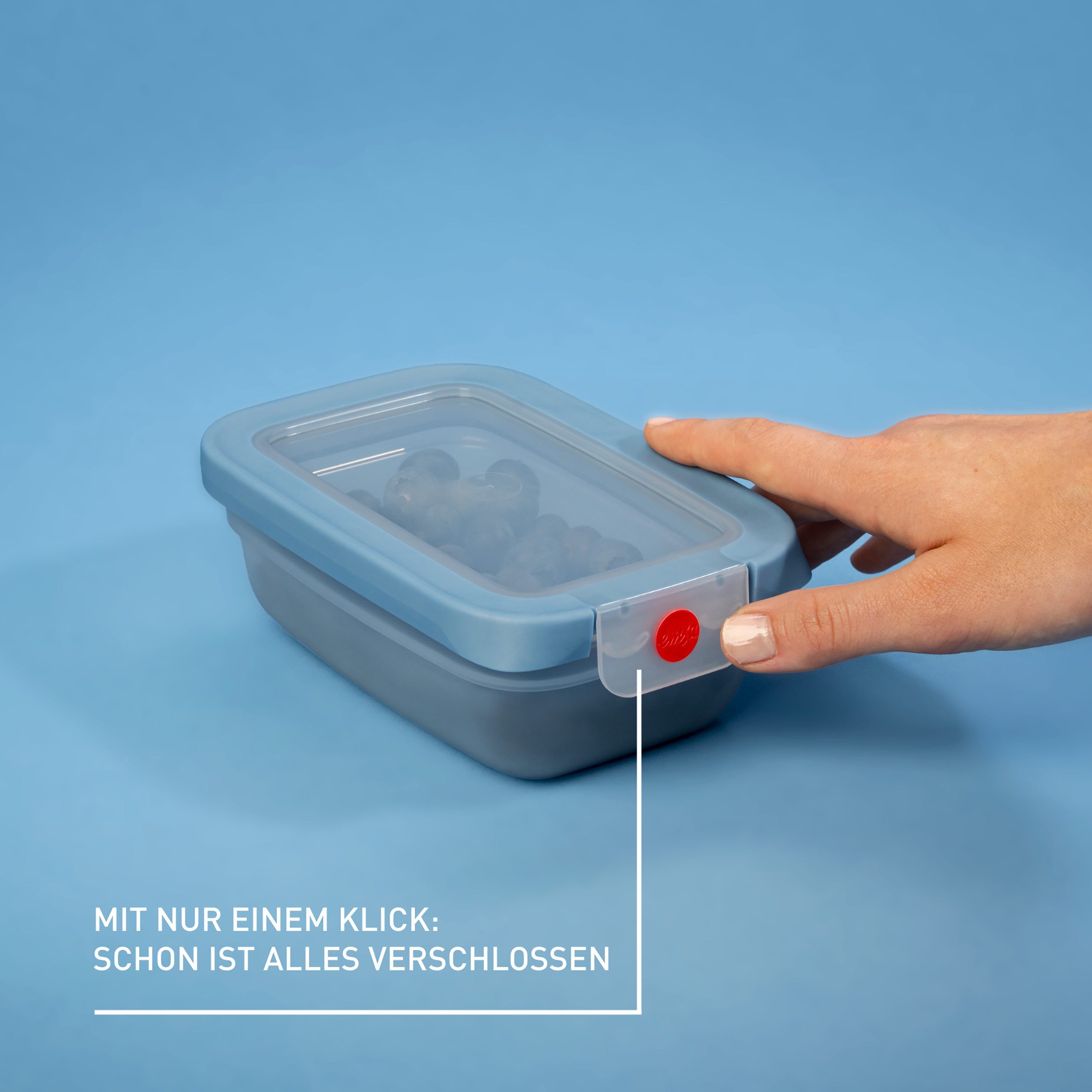 Emsa Frischhaltedose oneClick, Polyprophylen (PP), (1-tlg), verschlossen mit nur 1 x Klick, 100% dicht, made in Germany