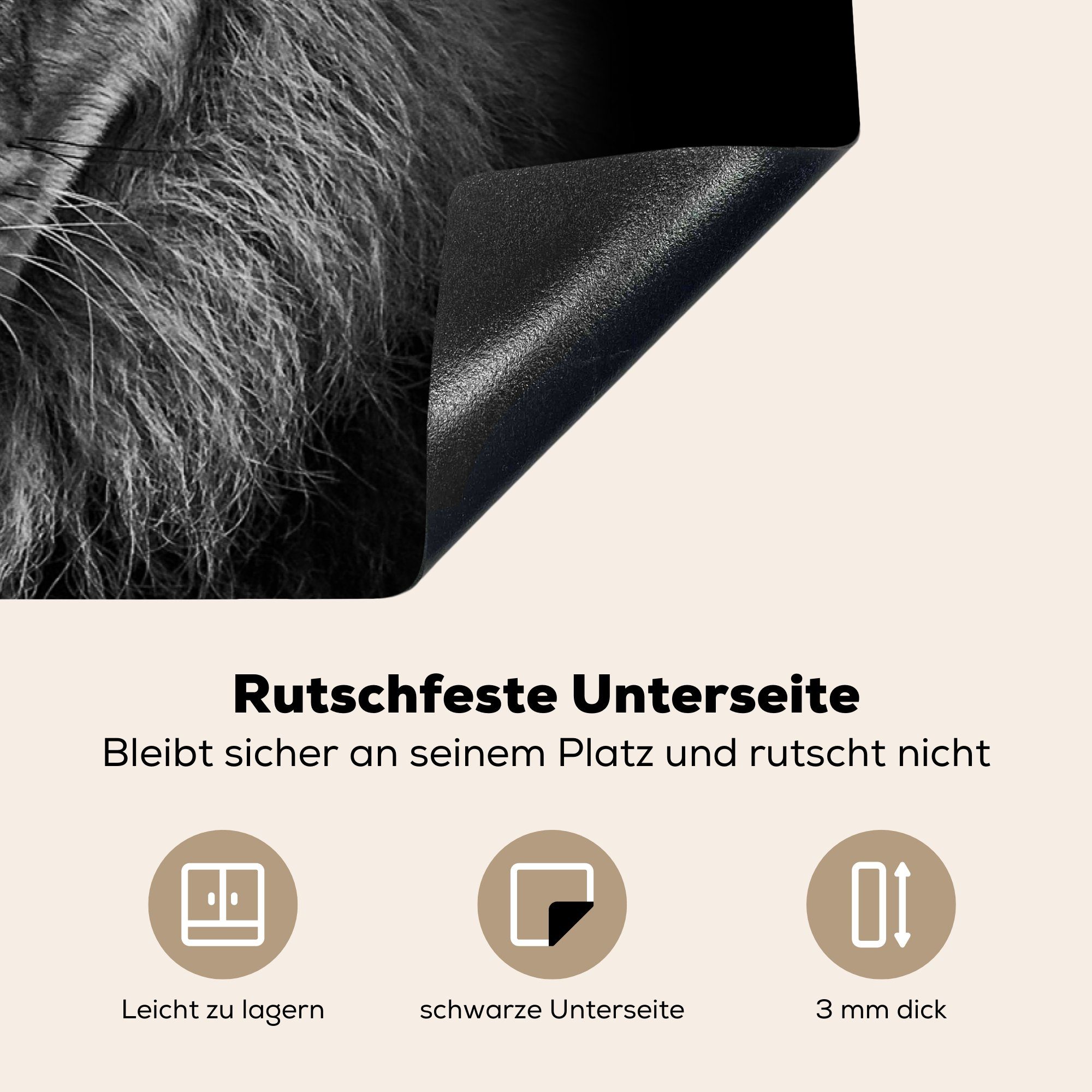 (1 Weiß Porträt, cm, tlg), für Schwarz Ceranfeldabdeckung, - Arbeitsplatte küche Vinyl, MuchoWow Löwe - Tiere Herdblende-/Abdeckplatte - 81x52 -