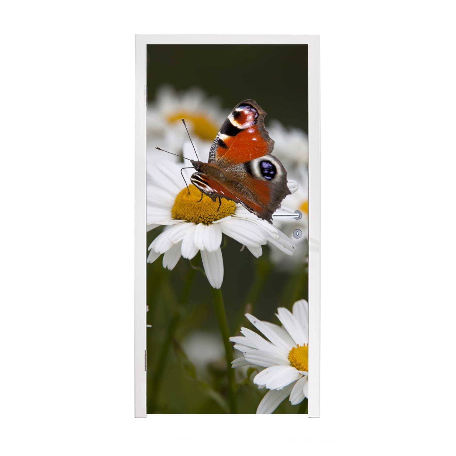 MuchoWow Türtapete Tagpfauenauge Schmetterling mit Gänseblümchen, Matt, bedruckt, (1 St), Fototapete für Tür, Türaufkleber, 75x205 cm