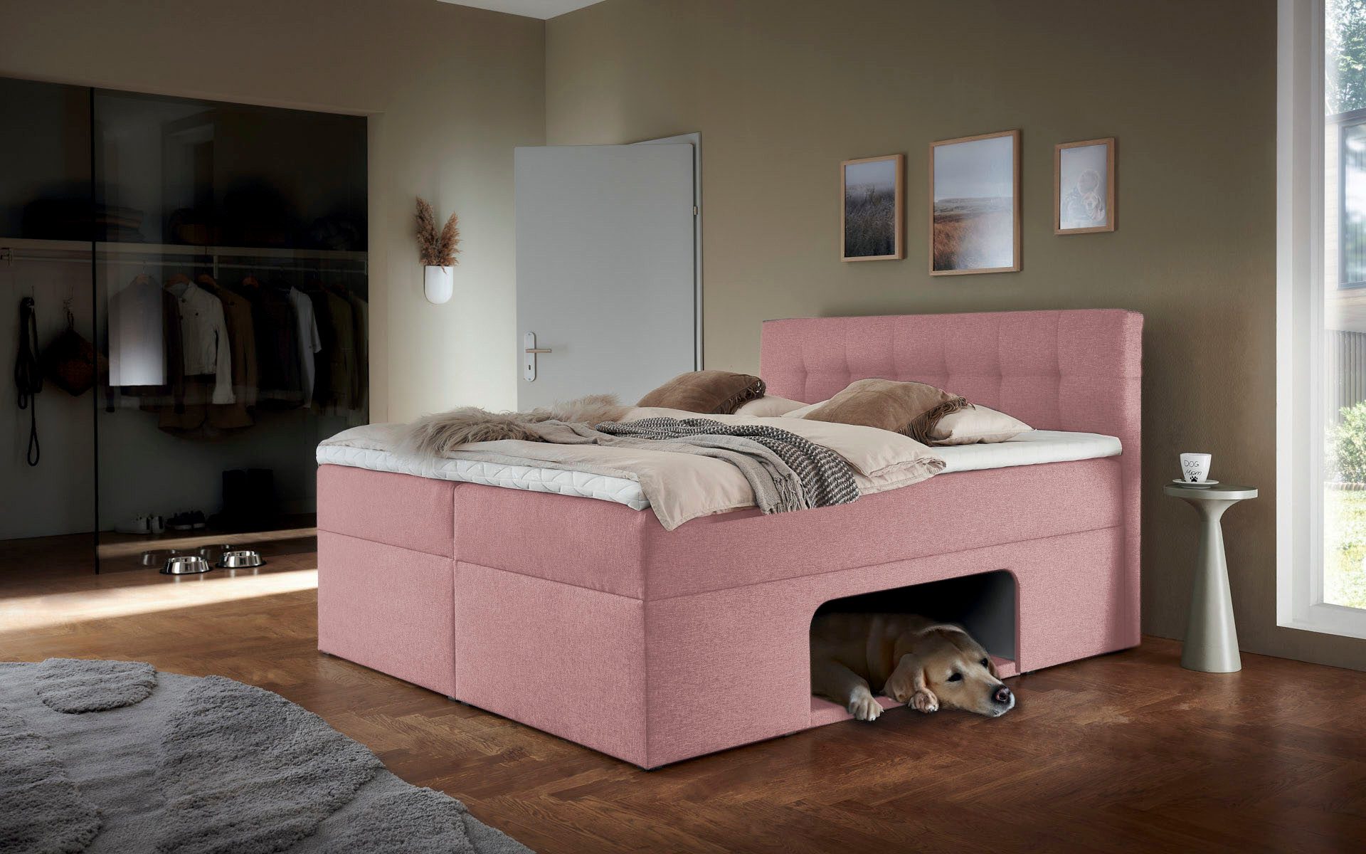 Home affaire Boxbett Carolin, mit Nische inkl. gepolsterter Unterlage für Haustiere