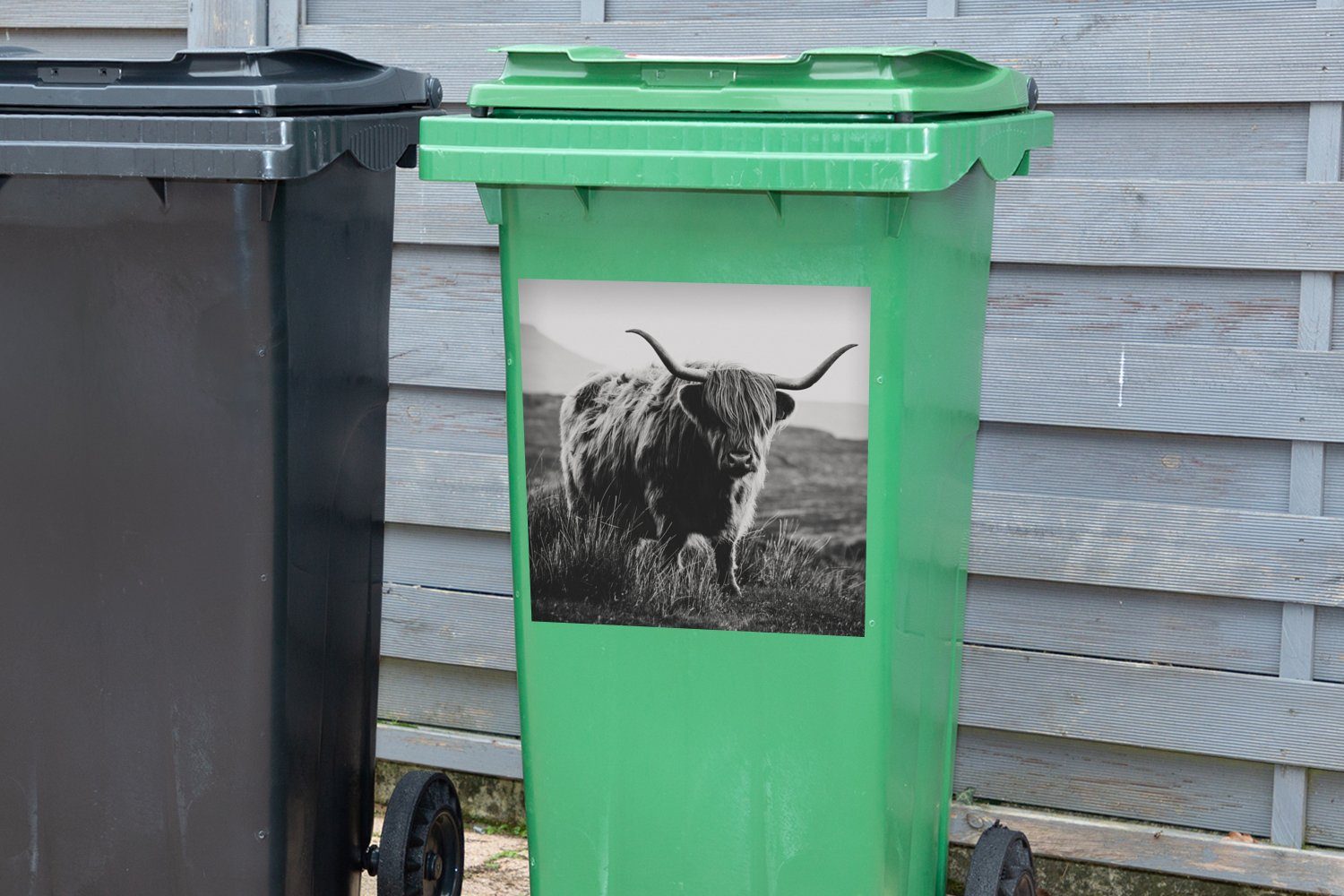 Kühe Wandsticker Abfalbehälter Schottischer - Container, Mülltonne, Hochlandbewohner Sticker, Tiere - und MuchoWow St), (1 - Mülleimer-aufkleber, Schwarz Natur -