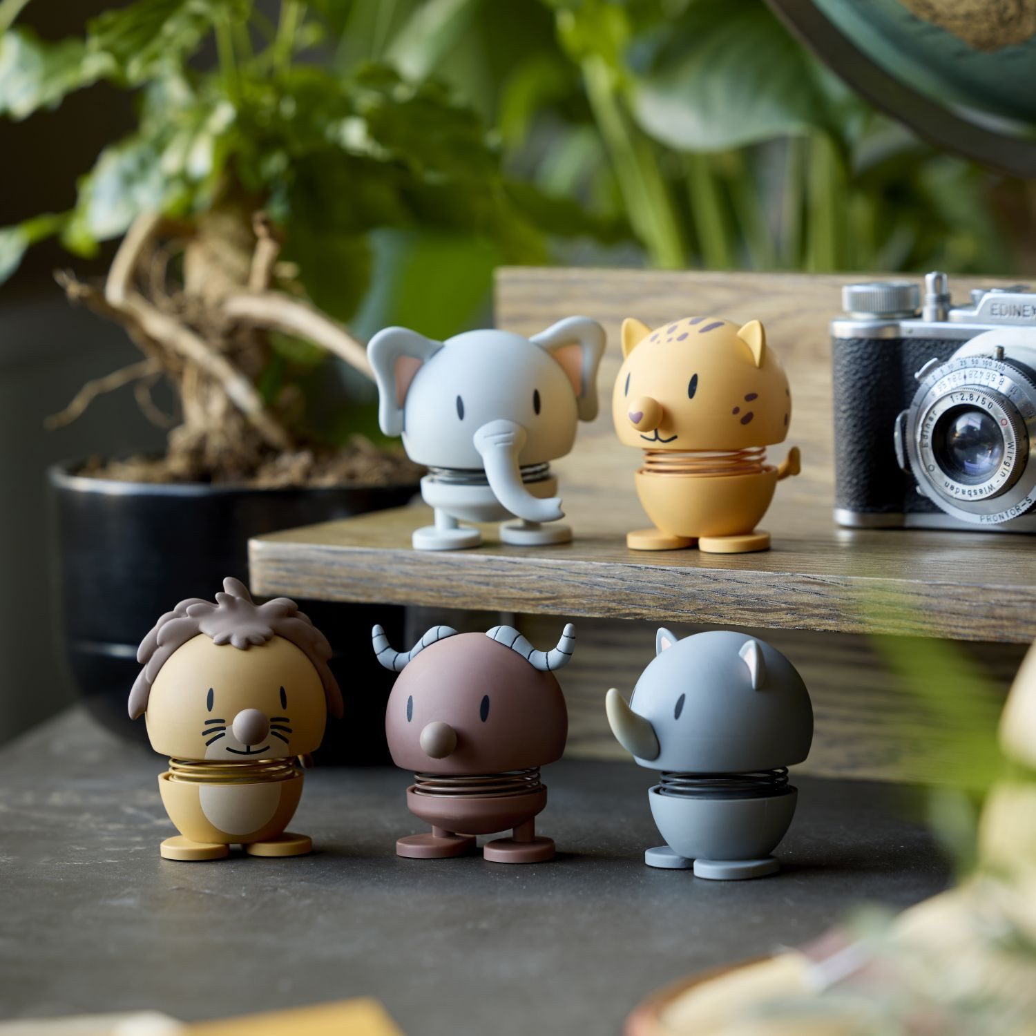 HOPTIMIST Dekofigur The Big Five Büffel günstig online kaufen